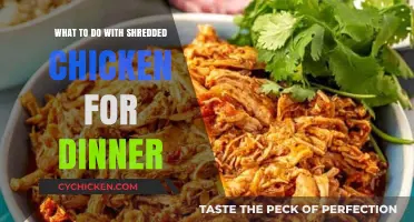 Delicious Dinner Ideas: Creative Ways to Use Shredded Chicken Tonight