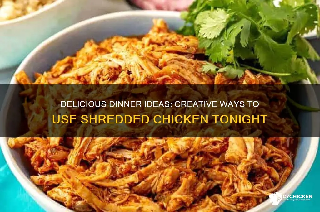 what to do with shredded chicken for dinner