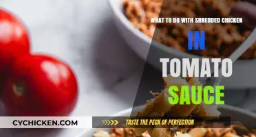 Delicious Shredded Chicken in Tomato Sauce: Creative Recipe Ideas