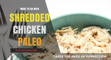 Paleo-Friendly Shredded Chicken Recipes: Creative, Healthy Meal Ideas