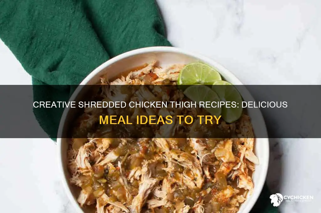 what to do with shredded chicken thighs