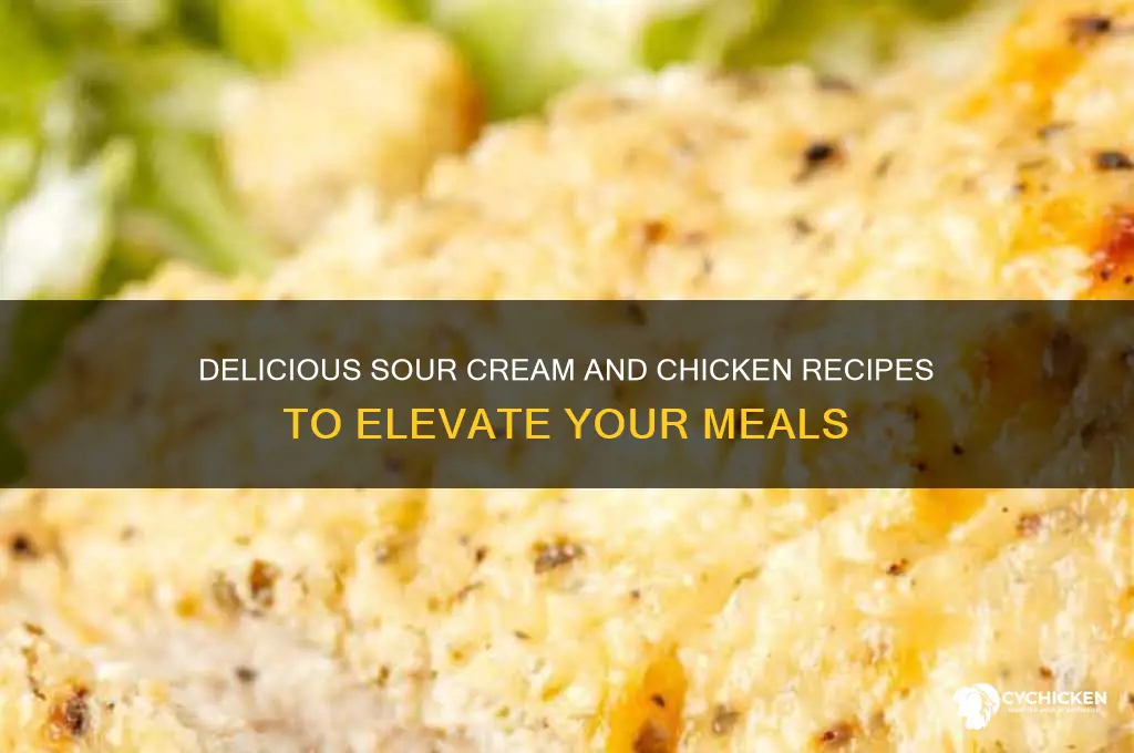 what to do with sour cream and chicken