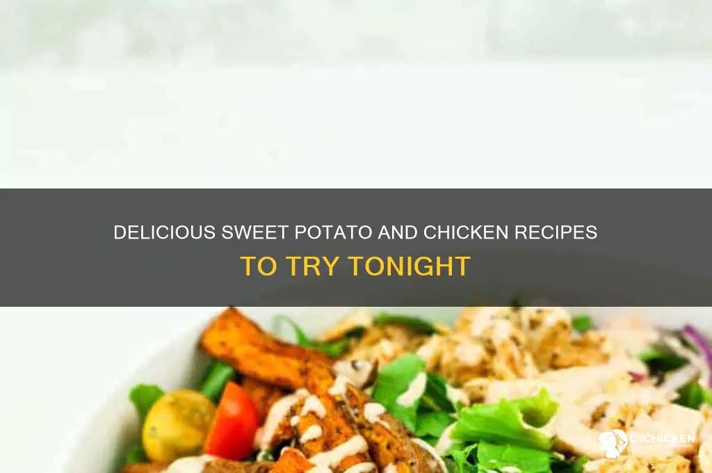 what to do with sweet potatoes and chicken