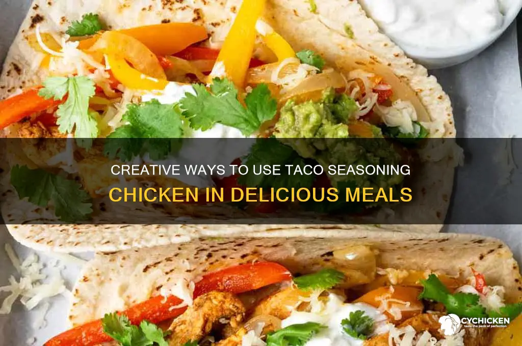 what to do with taco seasoning chicken
