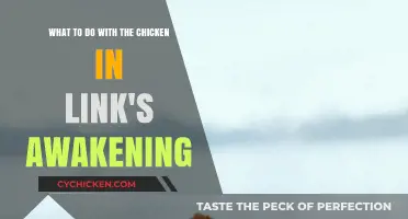 Exploring Link's Awakening: Chicken Escapades and Adventures