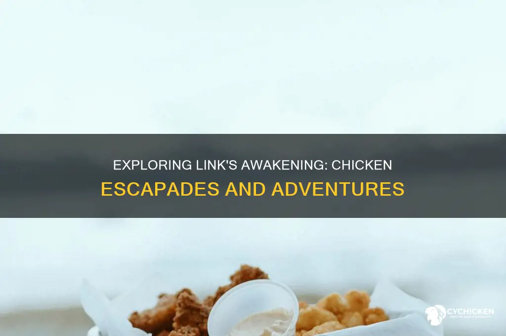 what to do with the chicken in link