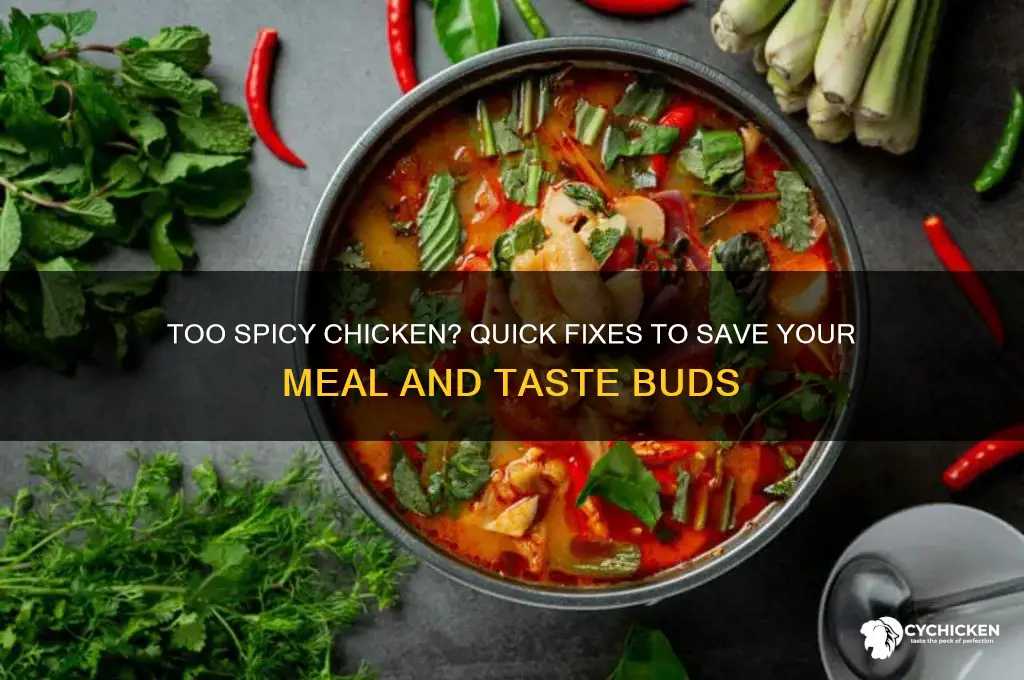 what to do with the too spicy chicken