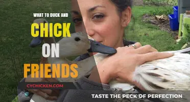Quack and Peep: Navigating Friendships with Duck and Chick Wisdom