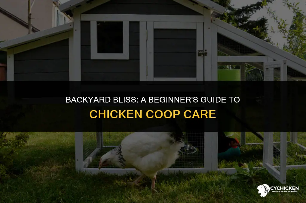 what to expect when you have a chicken coop
