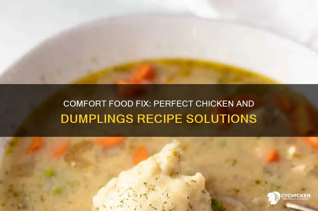 what to fix with chicken and dumplings