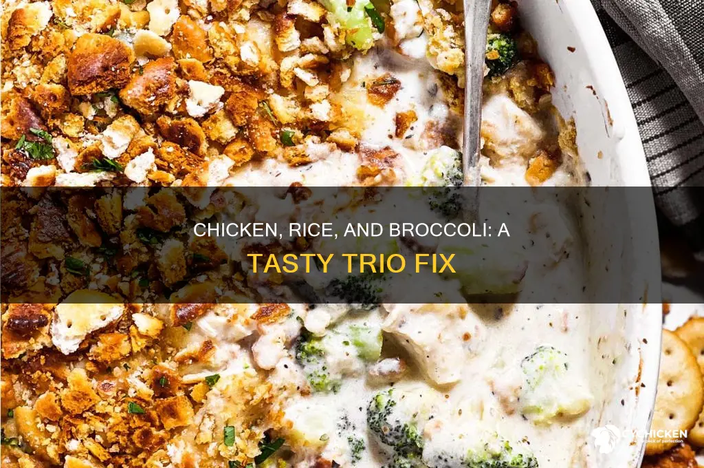what to fix with chicken and rice casserol and brockley