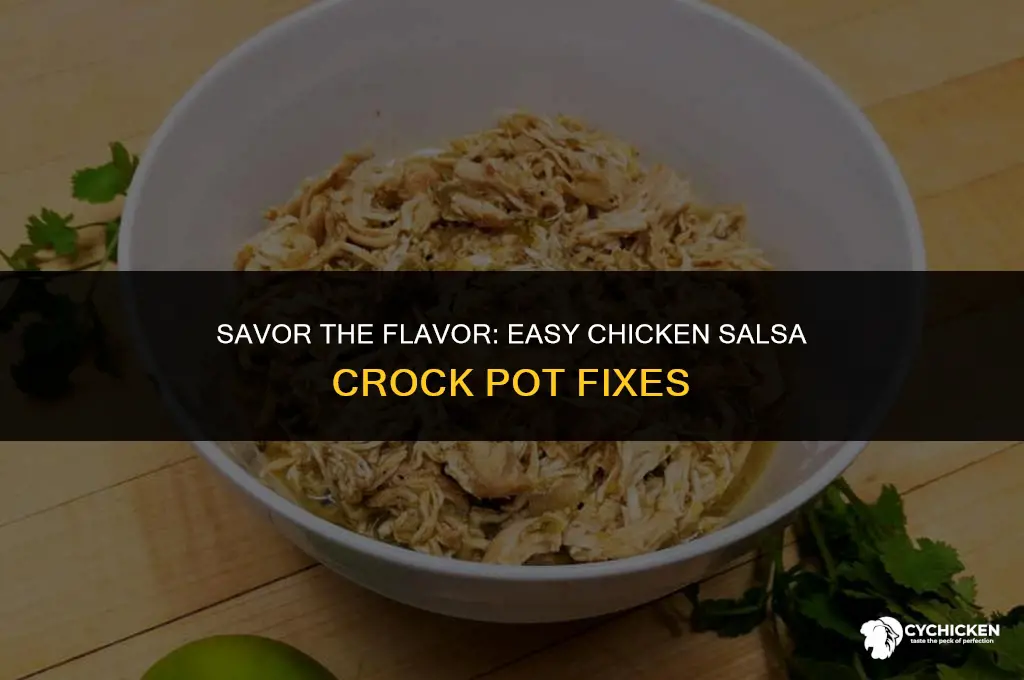 what to fix with chicken salsa in crock pot