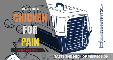 Effective Pain Relief Options for Your Chicken's Comfort and Care