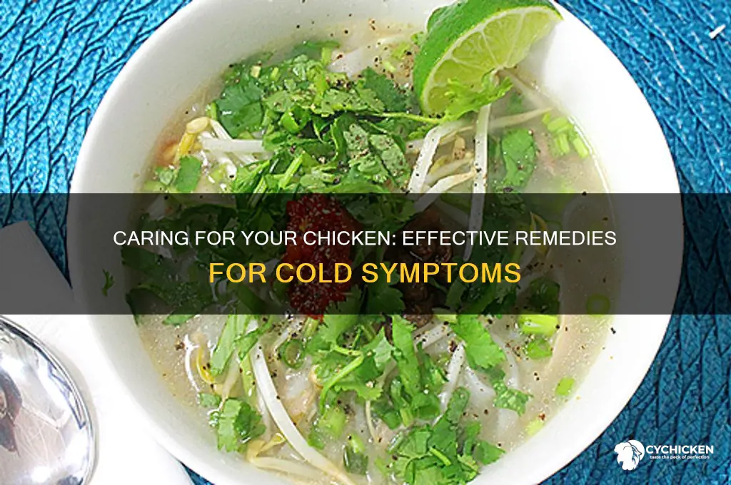 what to give a chicken with a cold
