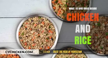 Beyond Chicken and Rice: Diverse, Nutritious Dog Food Alternatives