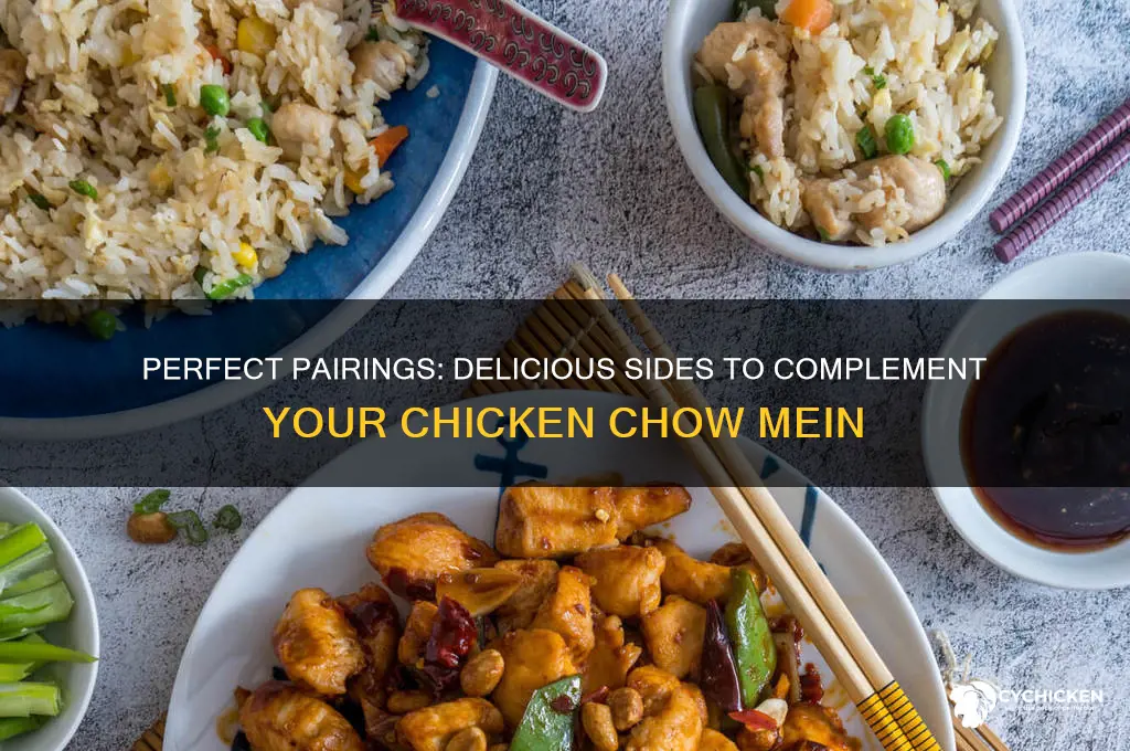 what to goes with chicken chow mein