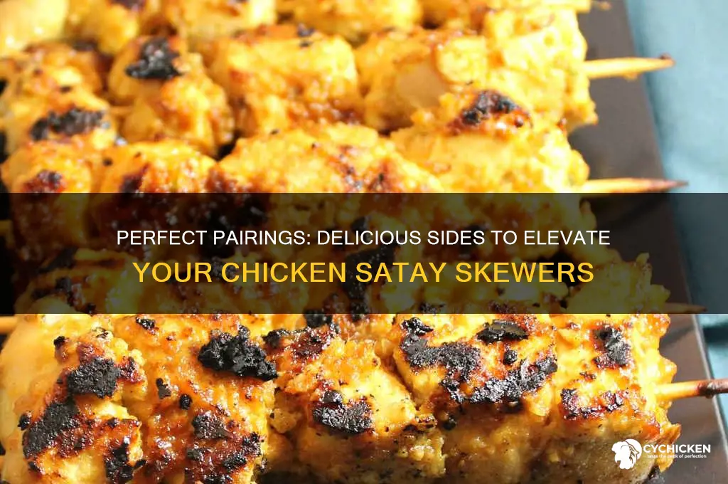 what to have with chicken satay skewers