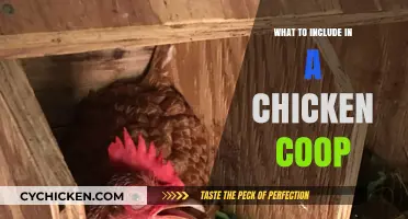 Essential Elements for a Happy and Healthy Chicken Coop
