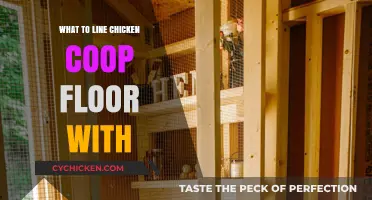 Eco-Friendly Options: What to Line Your Chicken Coop Floor With