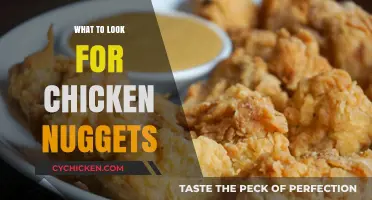 Crunchy, Juicy, Perfect: Essential Qualities to Seek in Chicken Nuggets
