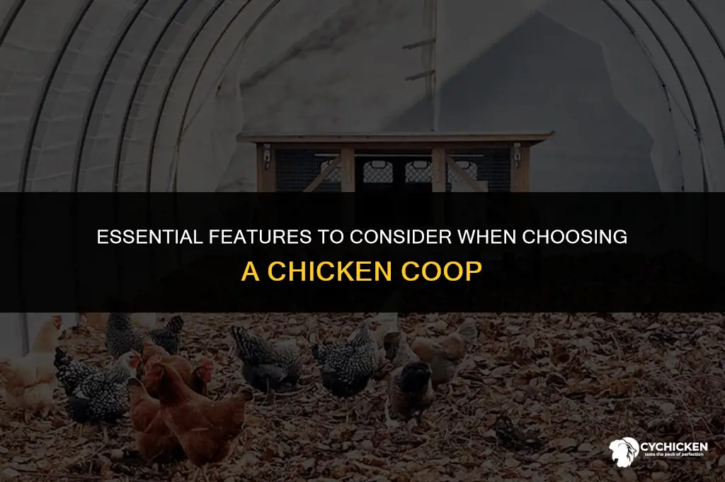 what to look for in a chicken coop
