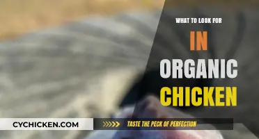 Choosing Organic Chicken: Key Factors for Quality and Health Benefits