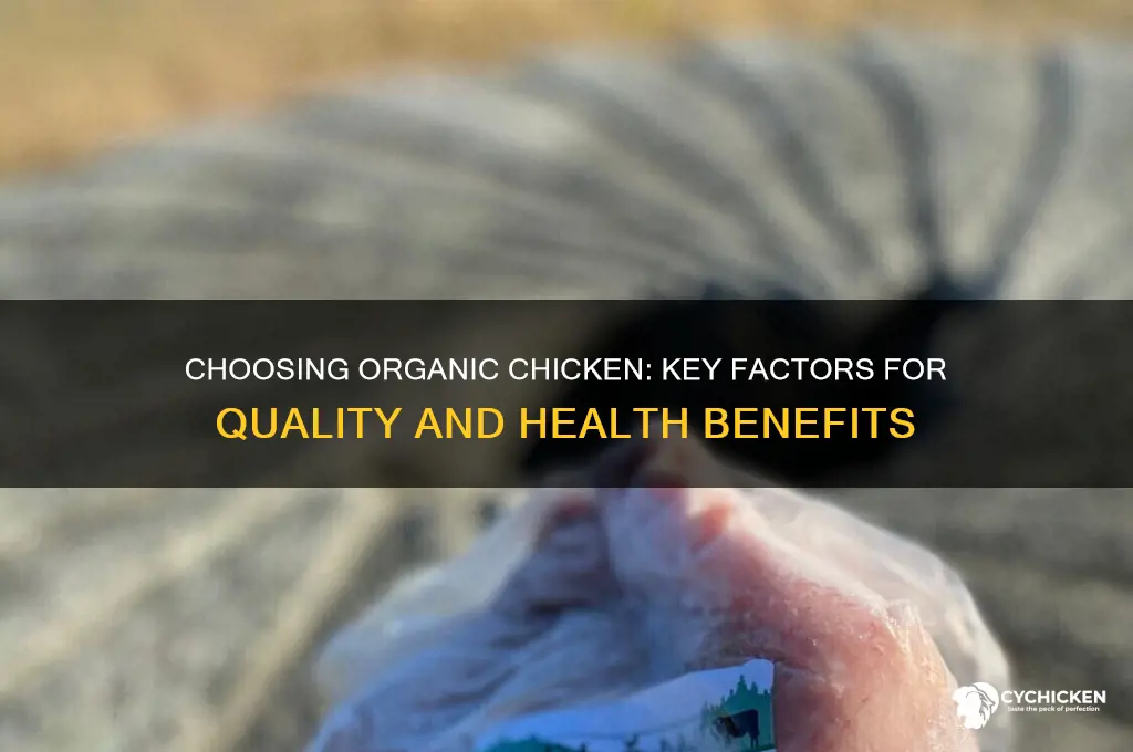 what to look for in organic chicken