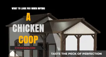 Essential Features to Consider When Choosing the Perfect Chicken Coop
