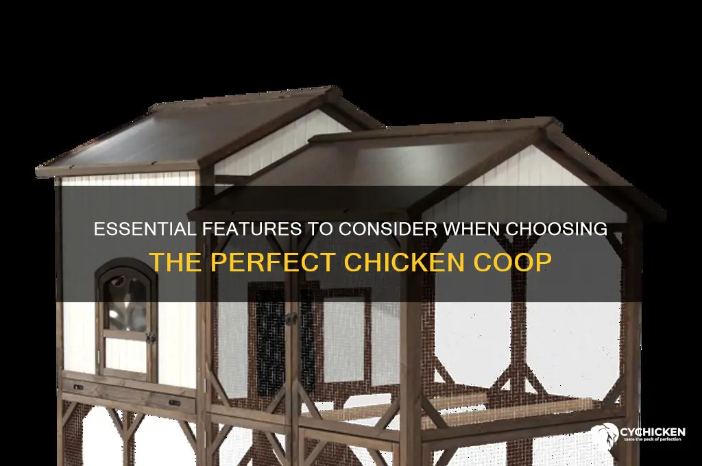 what to look for when buying a chicken coop