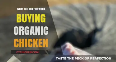 Choosing Organic Chicken: Key Factors for Quality and Health Benefits