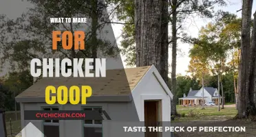 Building a Chicken Coop: Essential Tips and Tricks