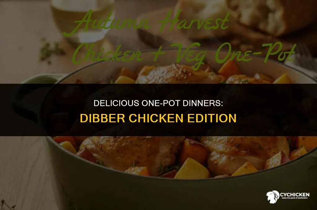 what to make for dibber chicken one pot