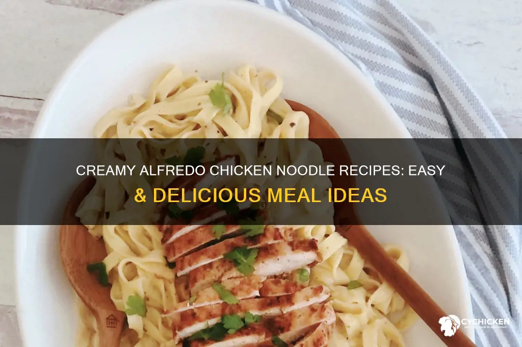 what to make with alredo sauce chicken and noodles