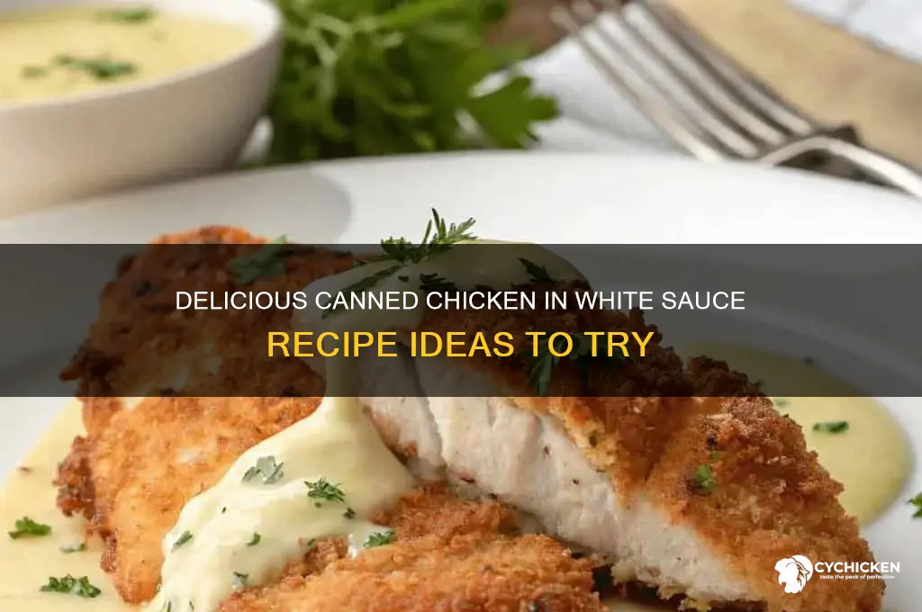 what to make with canned chicken in white sauce