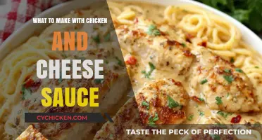 Delicious Chicken and Cheese Sauce Recipes to Try Tonight