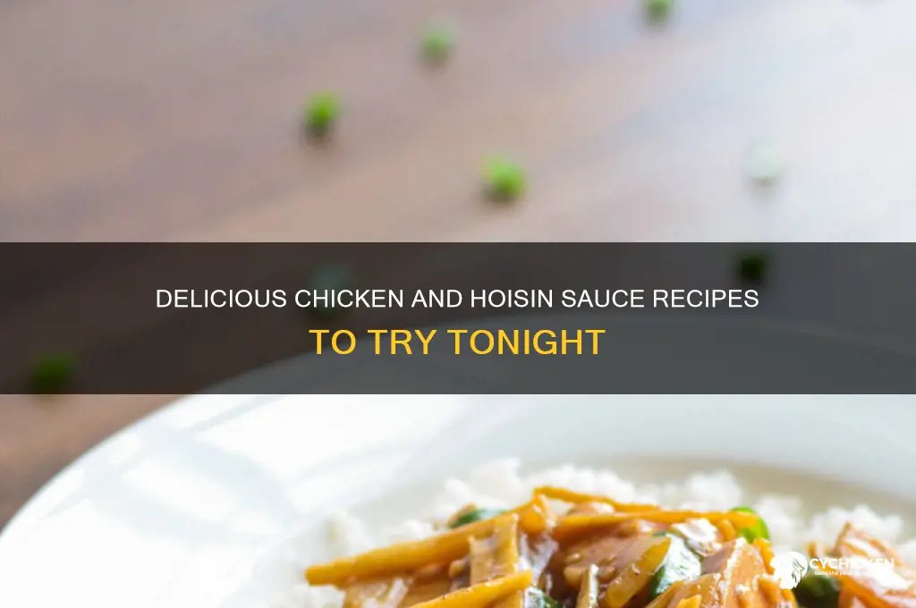 what to make with chicken and hoisin sauce