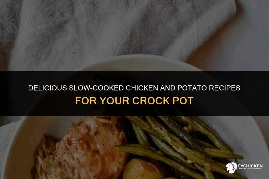 what to make with chicken and potatoes in crock pot