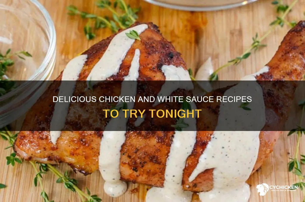 what to make with chicken and white sauce