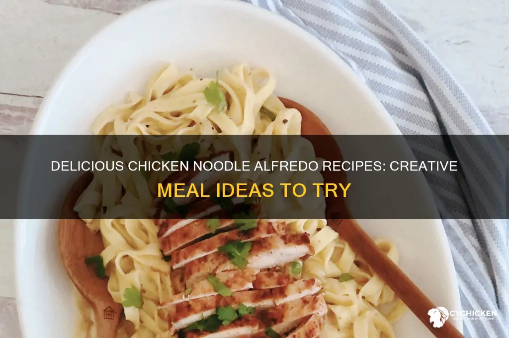what to make with chicken noodles and alfredo sauce