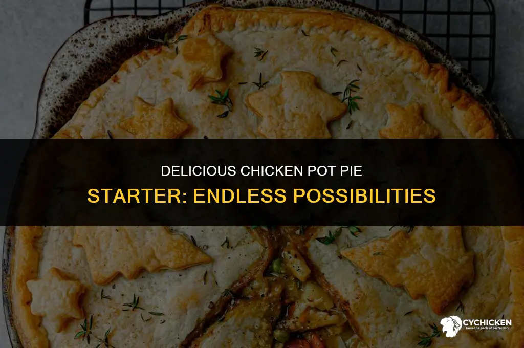 what to make with chicken pot pie starter