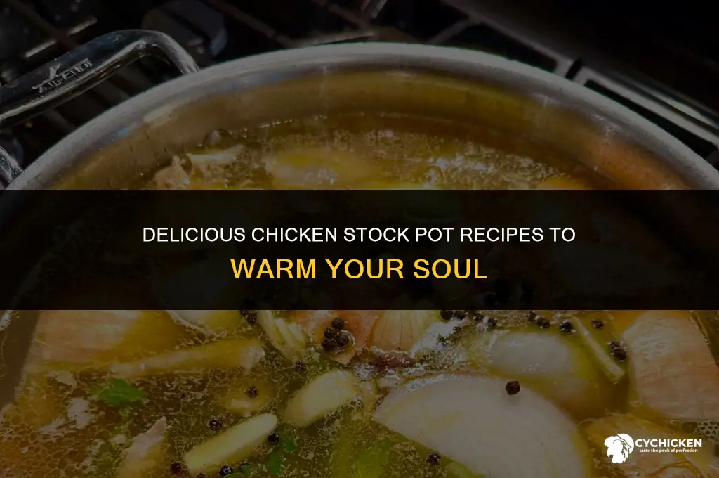 what to make with chicken stock pot