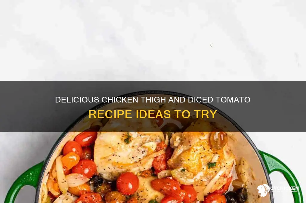 what to make with chicken thighs and diced tomatoes