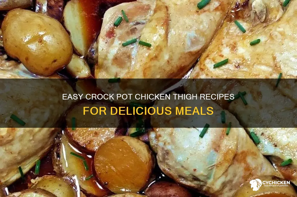 what to make with chicken thighs in crock pot
