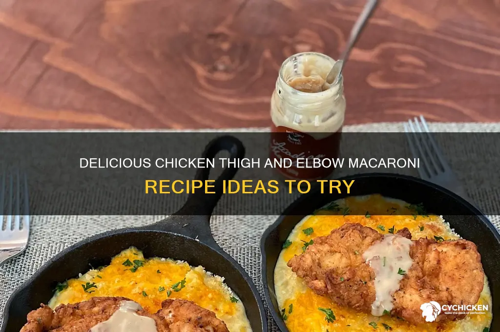 what to make with elbow macaroni noodles and chicken thighs