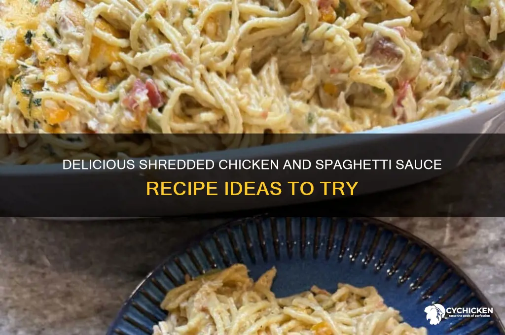 what to make with shredded chicken and spaghetti sauce