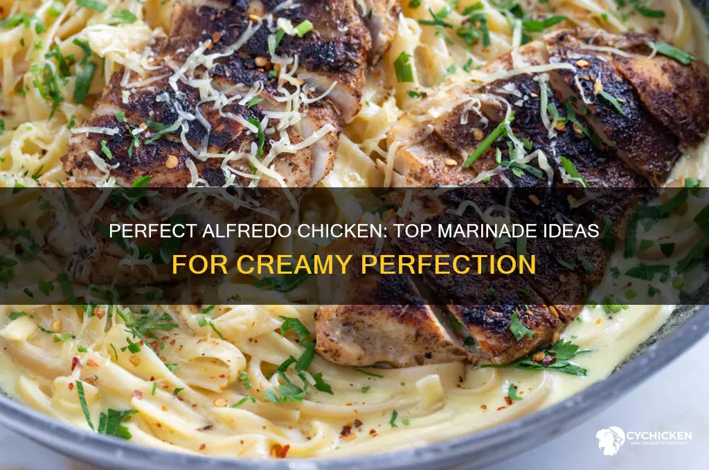 what to marinate chicken in for alfredo