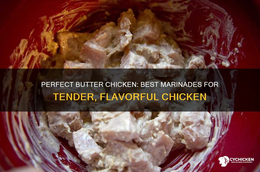 what to marinate chicken in for butter chicken