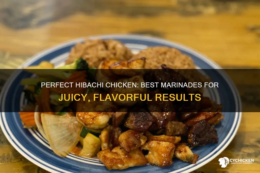 what to marinate chicken in for hibachi