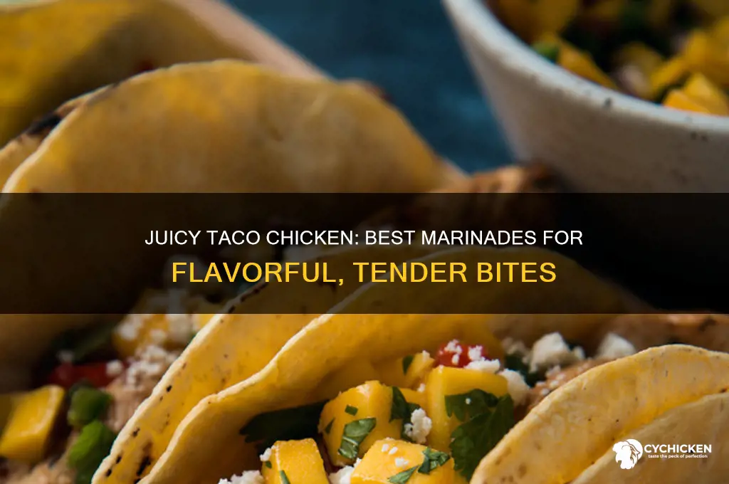 what to marinate chicken in for tacos