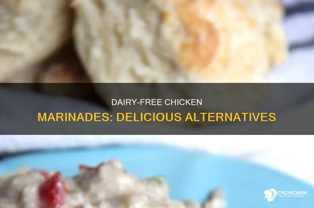 what to marinate chicken in if you are dairy free